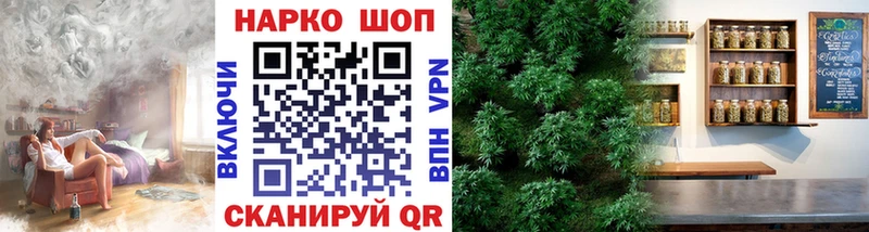 Купить закладку ГАШ Альфа ПВП Меф мяу мяу Купино