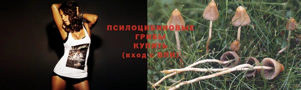 прущая мука Нефтегорск