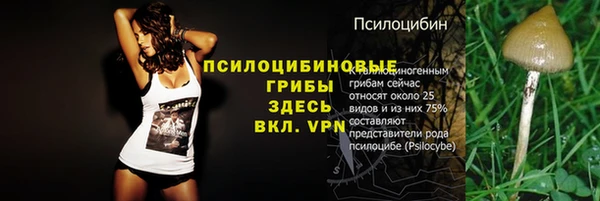 хмурый Нефтекумск