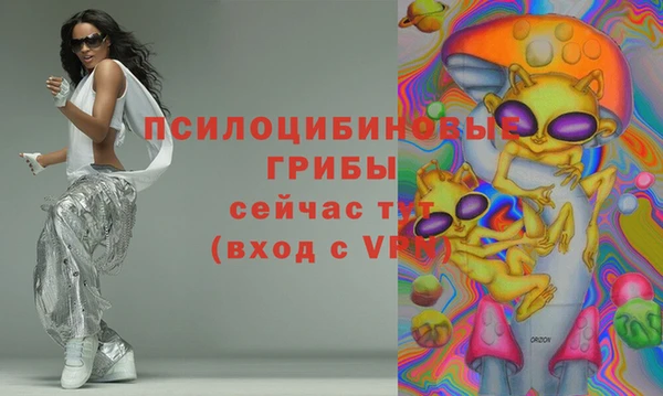 прущая мука Нея