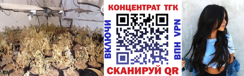 Купить  Купино  ТГК Wax 