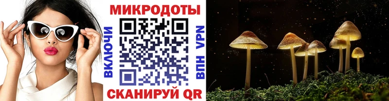 Галлюциногенные грибы Psilocybe  Купить закладки  Купино 